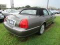 2004 Charcoal Grey Metallic Lincoln Town Car Ultimate  photo #5
