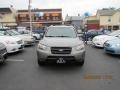 Golden Beige - Santa Fe GLS Photo No. 1