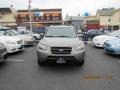 2007 Golden Beige Hyundai Santa Fe GLS  photo #1