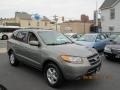 2007 Golden Beige Hyundai Santa Fe GLS  photo #3