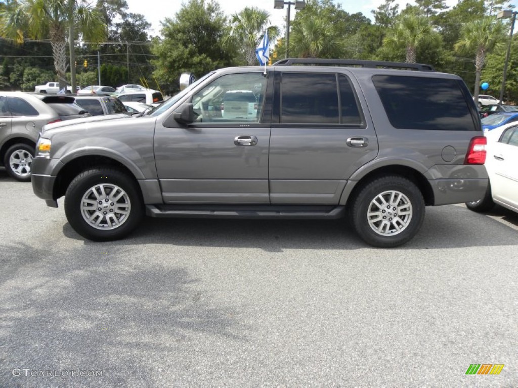 2011 Expedition XLT - Sterling Grey Metallic / Camel photo #2