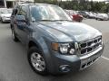 Steel Blue Metallic 2010 Ford Escape Limited