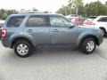 2010 Steel Blue Metallic Ford Escape Limited  photo #13