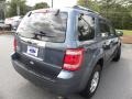 2010 Steel Blue Metallic Ford Escape Limited  photo #14
