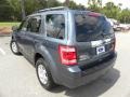 2010 Steel Blue Metallic Ford Escape Limited  photo #16