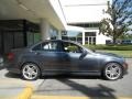 Steel Grey Metallic - C 300 Luxury Photo No. 3