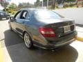 Steel Grey Metallic - C 300 Luxury Photo No. 8