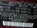 2009 Crimson Red Pearl Hyundai Azera Limited  photo #19