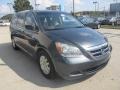 2006 Sage Brush Pearl Honda Odyssey LX  photo #5