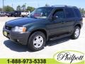 2003 Aspen Green Metallic Ford Escape XLT V6  photo #1