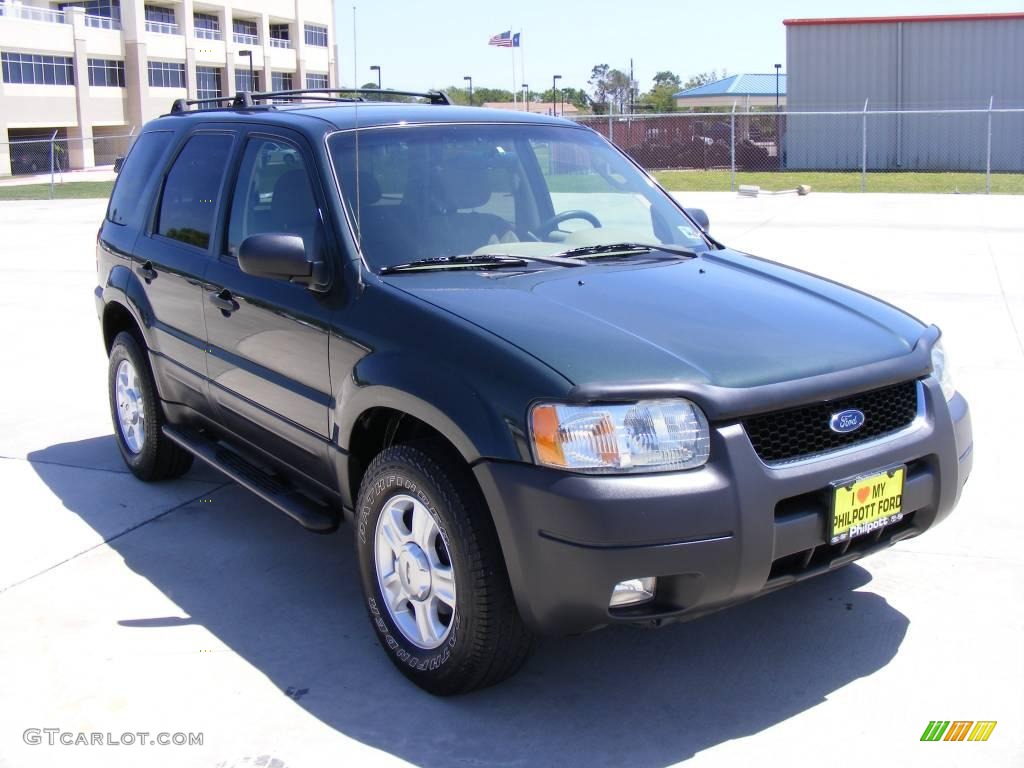 2003 Escape XLT V6 - Aspen Green Metallic / Medium Dark Pebble photo #4