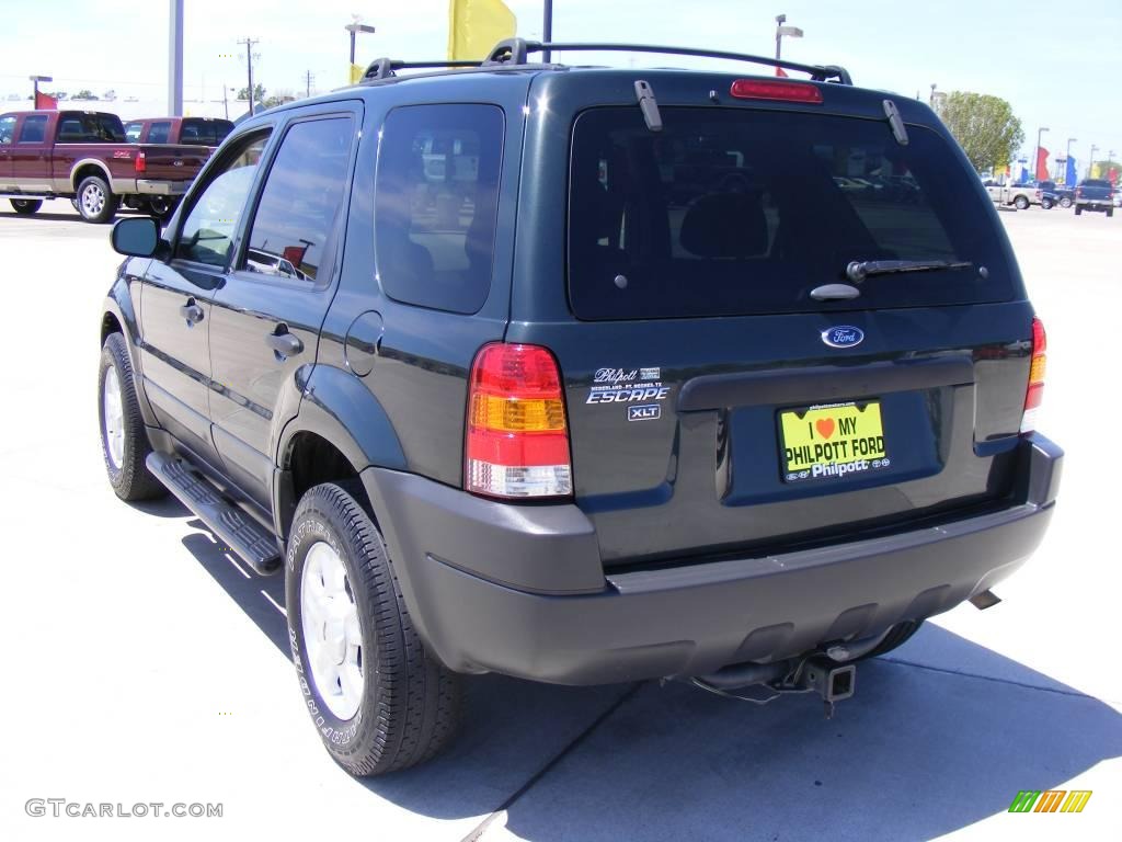 2003 Escape XLT V6 - Aspen Green Metallic / Medium Dark Pebble photo #8