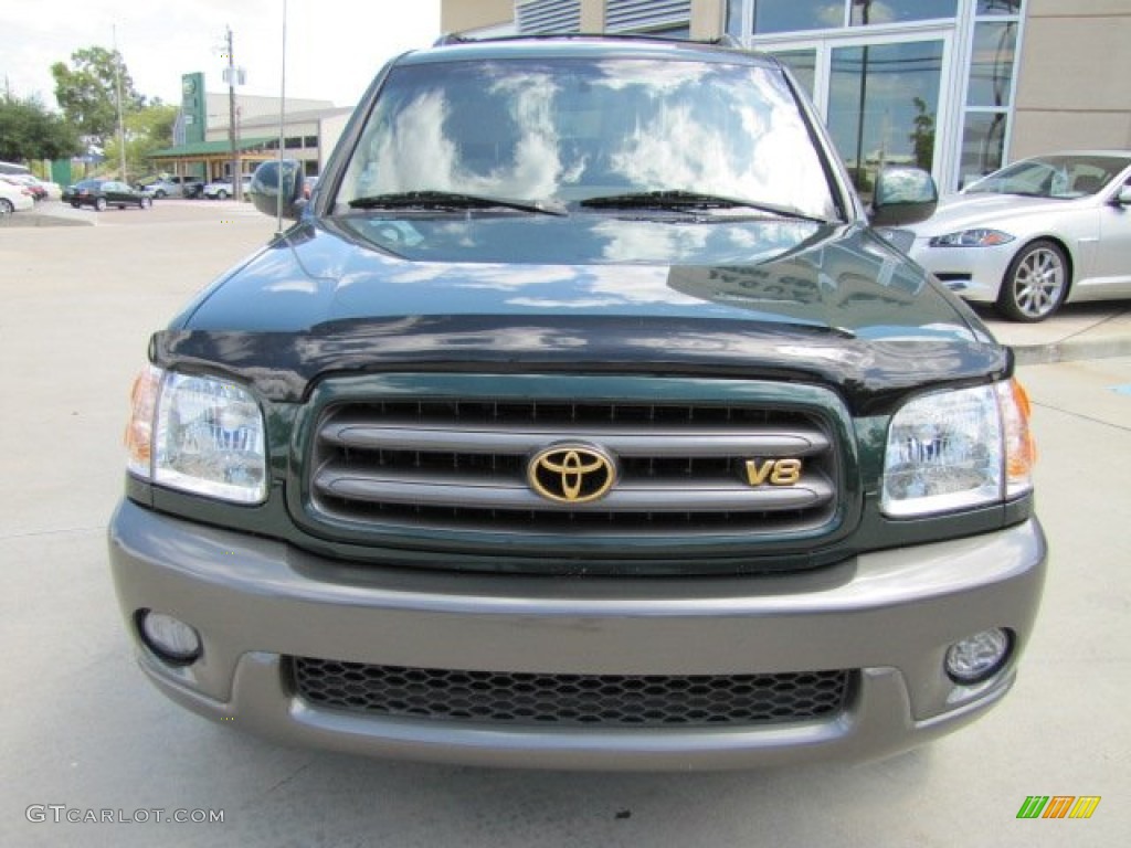 2004 Sequoia SR5 4x4 - Imperial Jade Green Mica / Oak photo #5