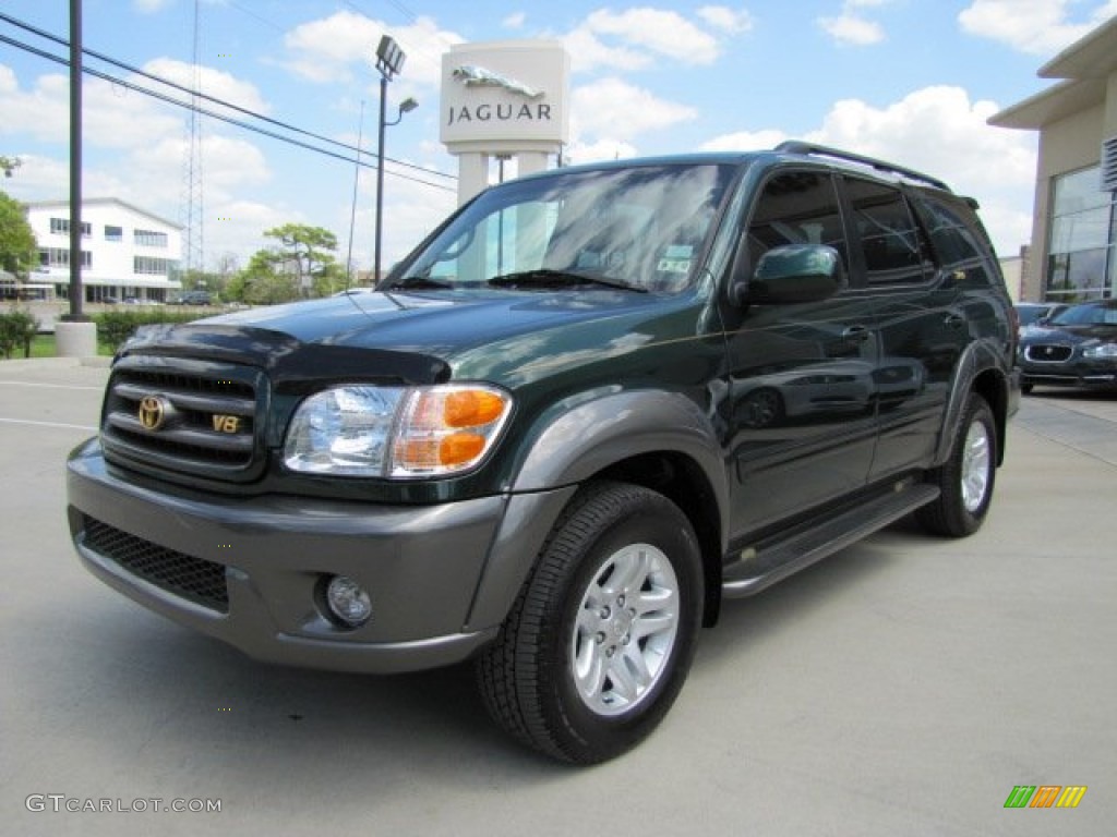 2004 Sequoia SR5 4x4 - Imperial Jade Green Mica / Oak photo #6