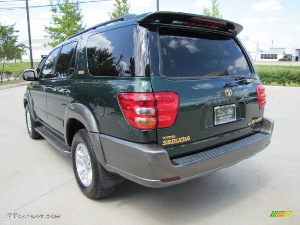 2004 Sequoia SR5 4x4 - Imperial Jade Green Mica / Oak photo #8