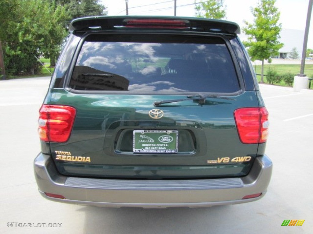 2004 Sequoia SR5 4x4 - Imperial Jade Green Mica / Oak photo #9