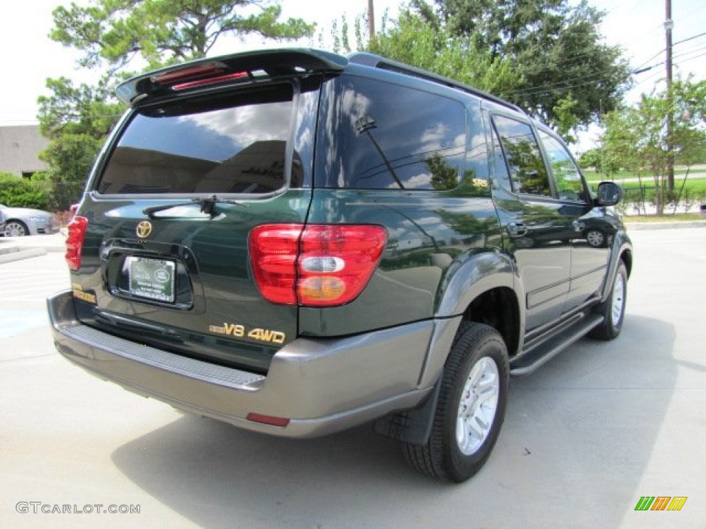 2004 Sequoia SR5 4x4 - Imperial Jade Green Mica / Oak photo #10