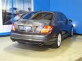 2010 Steel Grey Metallic Mercedes-Benz C 300 Sport 4Matic  photo #8