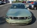 Legend Lime Metallic - Mustang V6 Deluxe Coupe Photo No. 3