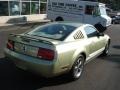 2006 Legend Lime Metallic Ford Mustang V6 Deluxe Coupe  photo #8