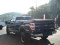 2010 Dark Blue Pearl Metallic Ford F150 XLT SuperCab 4x4  photo #6