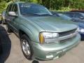 Silver Green Metallic - TrailBlazer LS 4x4 Photo No. 1