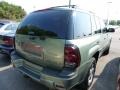 Silver Green Metallic - TrailBlazer LS 4x4 Photo No. 2
