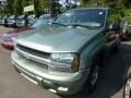 Silver Green Metallic - TrailBlazer LS 4x4 Photo No. 5