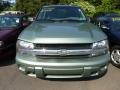 Silver Green Metallic - TrailBlazer LS 4x4 Photo No. 6