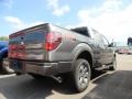 2012 Sterling Gray Metallic Ford F150 FX4 SuperCrew 4x4  photo #2