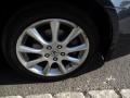 Carbon Gray Pearl - TSX Sedan Photo No. 38
