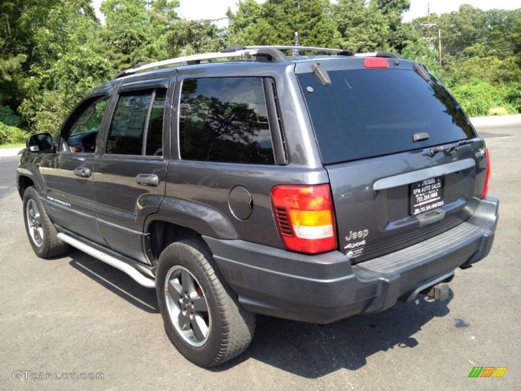 2004 Grand Cherokee Freedom Edition 4x4 - Graphite Metallic / Dark Slate Gray photo #10
