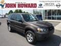 2006 Dark Stone Metallic Ford Escape XLT V6 4WD  photo #1