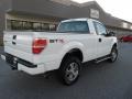 2010 Oxford White Ford F150 STX Regular Cab 4x4  photo #6