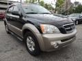 Ebony Black - Sorento EX 4WD Photo No. 4
