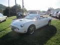 2003 Whisper White Ford Thunderbird Premium Roadster  photo #34