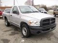 2007 Bright Silver Metallic Dodge Ram 1500 ST Regular Cab  photo #8