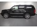 Black Raven - Escalade  Photo No. 2