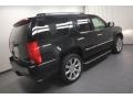 Black Raven - Escalade  Photo No. 10