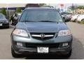 Sage Brush Green Pearl - MDX Touring Photo No. 8