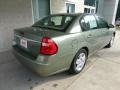 2006 Silver Green Metallic Chevrolet Malibu LT Sedan  photo #2