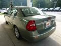 2006 Silver Green Metallic Chevrolet Malibu LT Sedan  photo #4