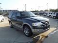 2009 Black Pearl Slate Metallic Ford Expedition Eddie Bauer  photo #2