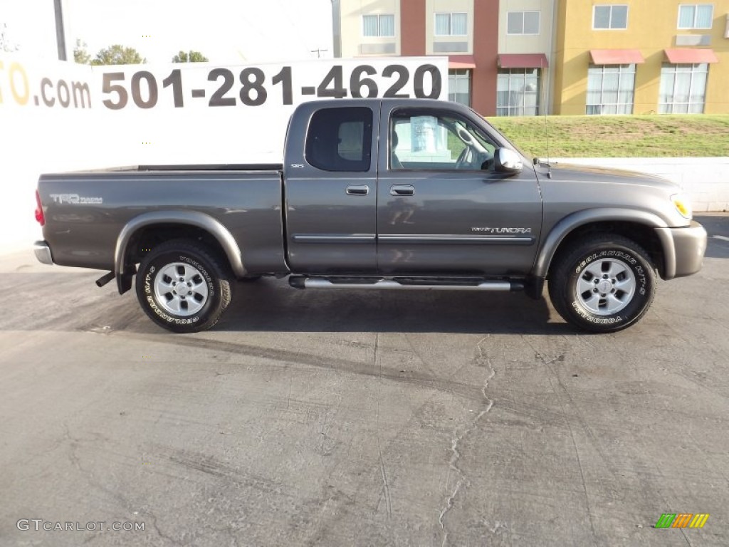 2005 Tundra SR5 Access Cab - Phantom Gray Pearl / Taupe photo #8