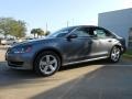 Platinum Gray Metallic - Passat 2.5L SE Photo No. 3