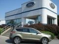 2013 Ginger Ale Metallic Ford Escape SE 1.6L EcoBoost 4WD  photo #1