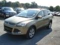 2013 Ginger Ale Metallic Ford Escape SEL 1.6L EcoBoost 4WD  photo #4