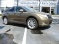 2010 Golden Umber Mica Toyota Venza I4  photo #2