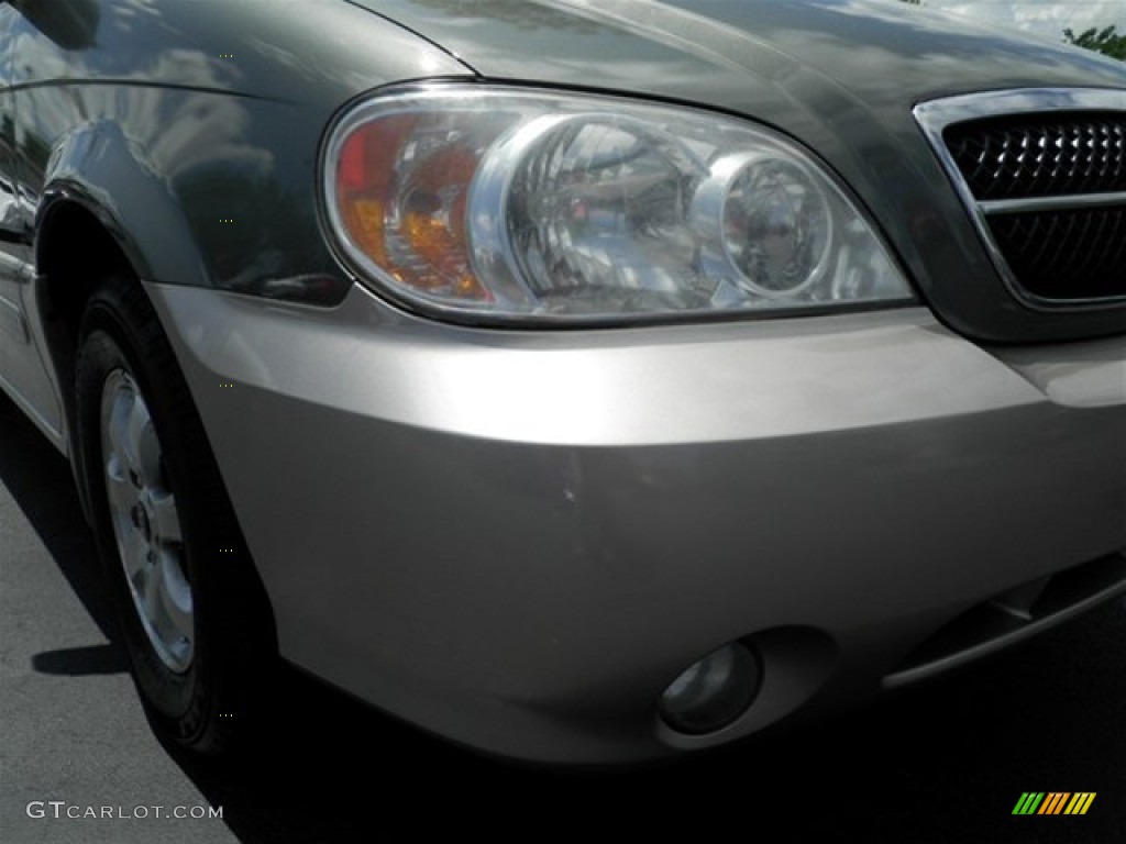 2004 Sedona EX - Sage Green / Gray photo #2