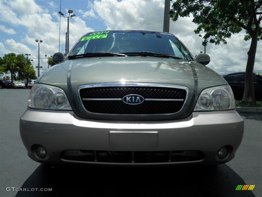 2004 Sedona EX - Sage Green / Gray photo #5